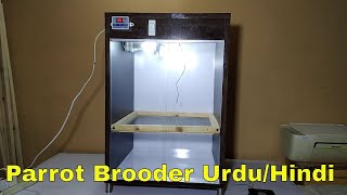 How to make parrot brooder Urdu/Hindi