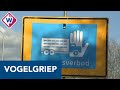 Vervoersverbod pluimvee vanwege vogelgriep in Hekendorp - OMROEP WEST
