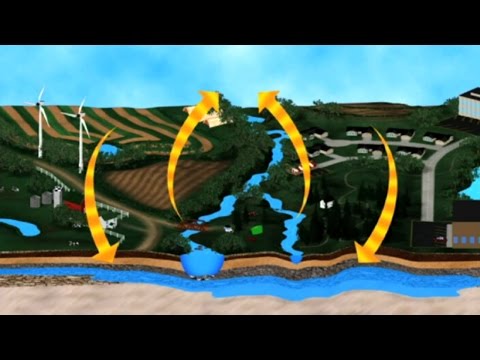 The Water Cycle - Hydrology