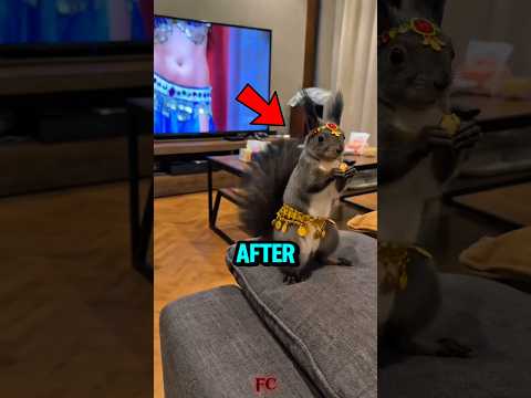 The Squirrel That Tried Ballet