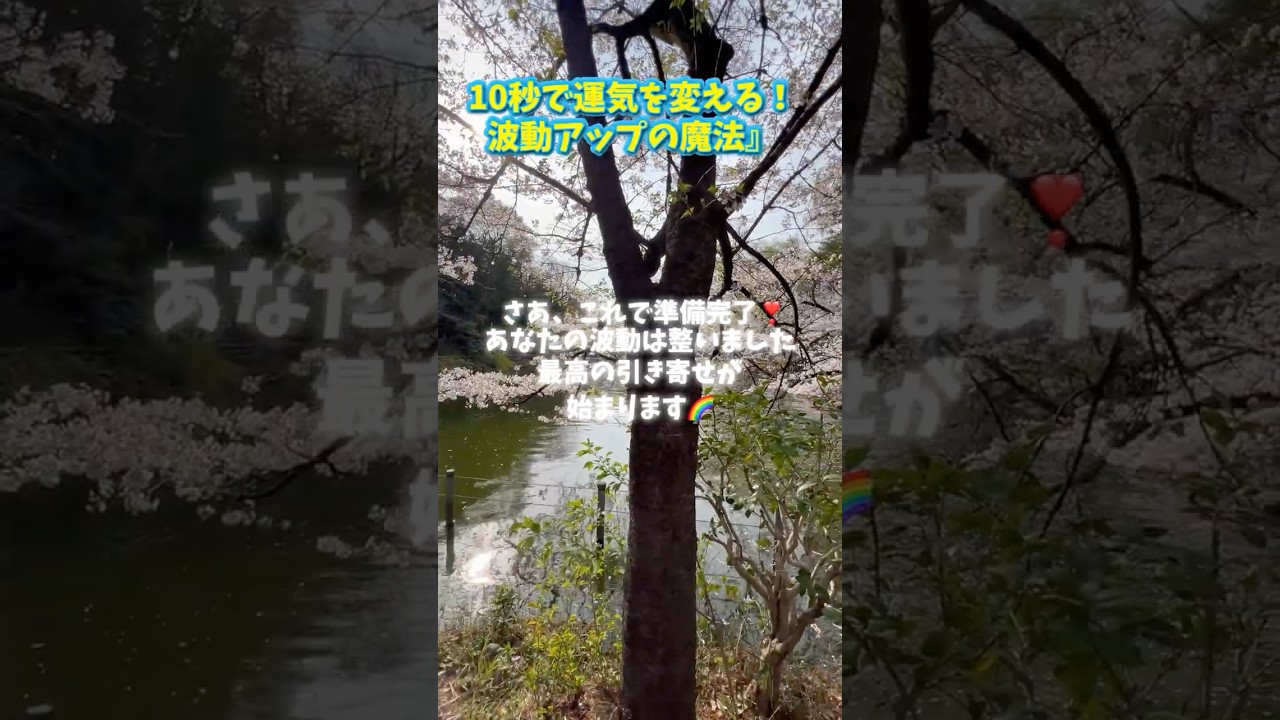 ドキドキワクワク🌟これからが引き寄せ本番です❣️この３つで準備バッチリ👍