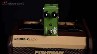 Video thumbnail for Fishman AFX AcoustiComp Mini Demo From Peghead Nation by Peghead Nation