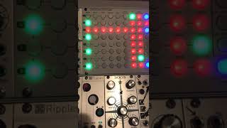 Video thumbnail for Tiptop Audio Circadian Rhythms. How to build a beat. by Steve Turner