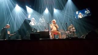 MISTIGE RODE BEEST (Turks Fruit), jazz harmonica by Tim Welvaars