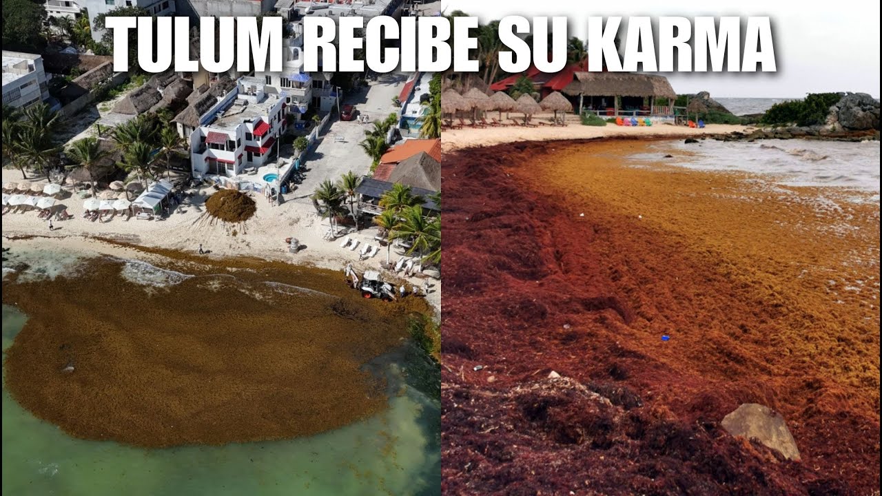 POBRE TULUM... SI ANTES LE IBA MAL ahora le va PEOR ¿Es EL KARMA?