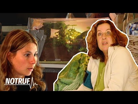 🕷-BISSE auf der Hand?! 😖 Rettungssanitäterin muss ihre Angst überwinden! | NOTRUF