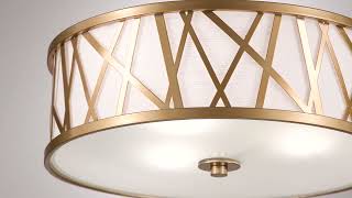Watch A Video About the Possini Euro Layna Gold Drum Pendant Light
