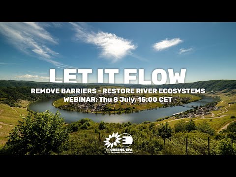 Let it flow - Remove barriers, restore river ecosystems