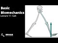 Biomechanics Lecture 11: Gait