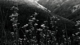 Кедр Ливанский - Разрушительный Круг (Baked Milk Remix)