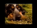 KMOV St Louis Commercials 4 1998