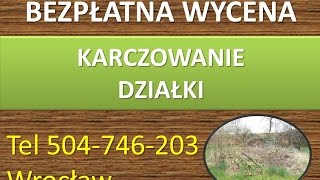 Karczowanie działki, cennik, tel 504-746-203. Przygotowanie działki, wycinka samosiejek.