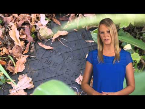 Rheem Interactive - Low Pressure
