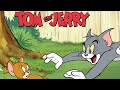 Tom And Jerry Tom And Jerry Cartoon The Tom And Jerry Show JERRY TOM CARTOOLAND