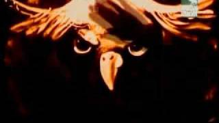 Animal Planet Sand Art