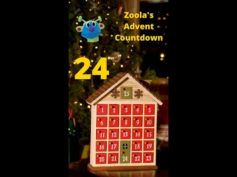 Zoola's Advent Countdown: Day 24 #shorts
