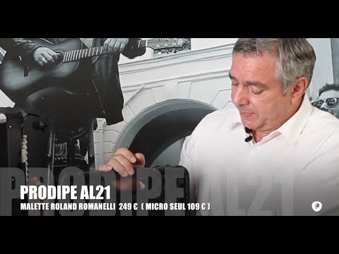 Мікрофонний інструментальний набір Prodipe AL21 (для акордеону)