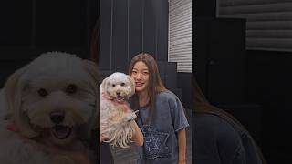 can’t keep our paws off of Touch 🐾 #KATSEYE #KATSEYE_Yoonchae #KATSEYE_SIS #SoftIsStrong