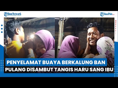 13 Tahun Merantau, Kepulangan Tili Penyelamat Buaya Berkalung Ban Disambut Tangis Haru Keluarga