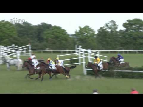 MI, 3. 6. 2017, 7. dostih - Cena firmy ROKO