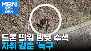 엿새째 굶주린 '늑구'…밤낮 수색에도 행방 묘연 [굿모닝 MBN]