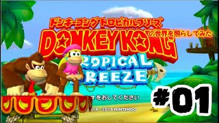ドンキーコングトロピカルフリーズの世界を照らしてみた#01