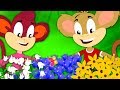 Mary Mary Quite Contrary Nursery Rhymes Baby Songs For Children By Monkey Rhymes