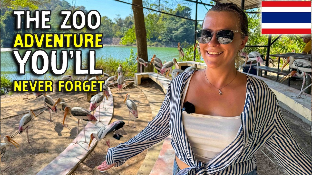 Experience the adventure as a tourist explores Khao Kheow Open Zoo.
