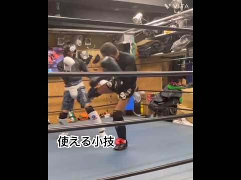 小技シリーズ🥊コンビネーション編🥊 #格闘技 #キックボクシング #kickboxing
