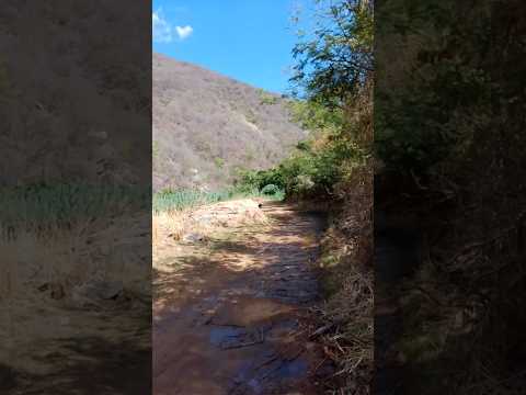 às belezas e às lindas paisagens do sitio saco de nova Olinda PB,, sertão nordestino?