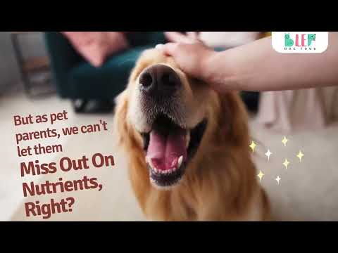 Videos from BLEP Petcare World Pvt. Ltd