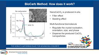 Unlocking Concrete’s Green Potential: Integrating Supplementary Cementitious Materials