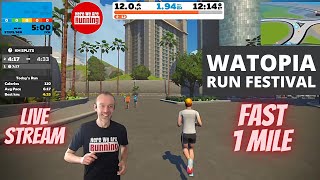 LIVE STREAM | Watopia Run Festival FAST 1 MILE Race