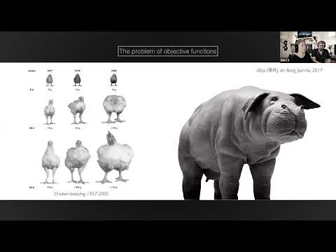 Creative Artificial Intelligence within the Artificial Life Installation “Infranet”