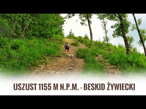 Oszast 1155 m n.p.m. - Beskid Żywiecki
