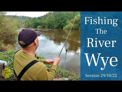 River Wye - Fishing A Rapidly Rising River - Staying Mobile To Find Barbel - 29/10/22 (Video 356)