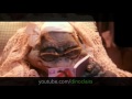 Dinosaurs S01E04 High Noon Part 1 2
