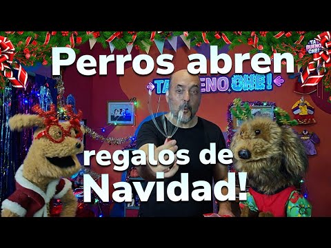Perros abren regalos de navidad!