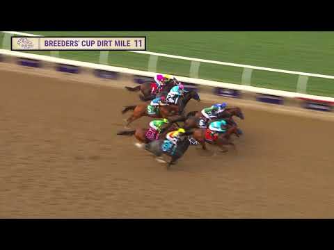 Nysos wins the BC Dirt Mile G.I race 11 at Del Mar 11/1/25