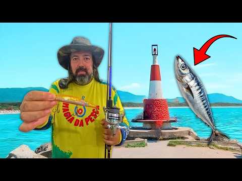 Fishing with artificial lures in the sea! Sorocas and anchovies at the Barra da Lagoa lighthouse.