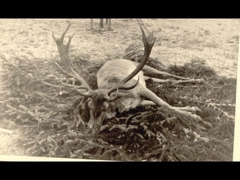 Oberforstmeister Walter  Frevert