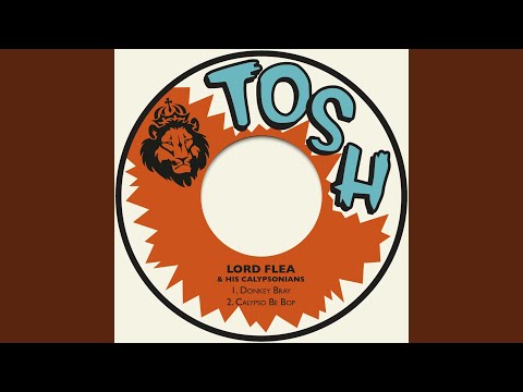 Donkey Bray (Remastered)