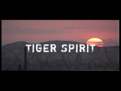 Trailer Tiger Spirit