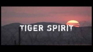 Tiger Spirit