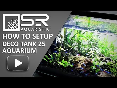 How to Setup Deco Tank 25 Aquarium