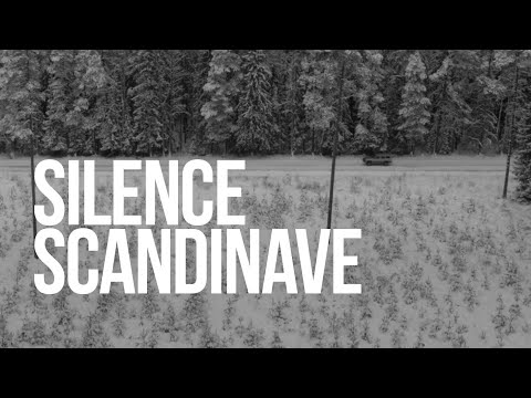 SILENCE SCANDINAVE - Bande Annonce [VF]