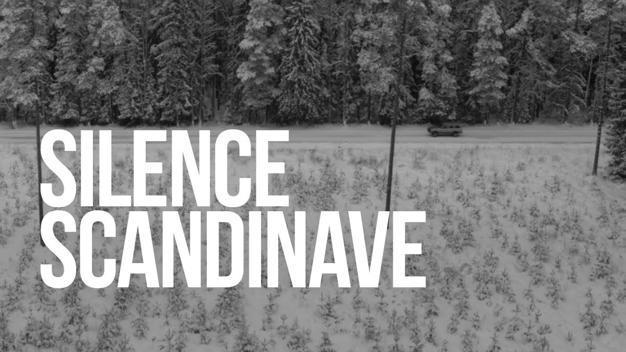 Miniature de la vidéo SILENCE SCANDINAVE - Bande Annonce [VF] du film Silence scandinave