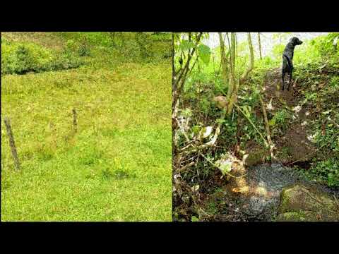 Propuesta emprendimiento agropecuario Juan David Ruge - Pasca, Cundinamarca.