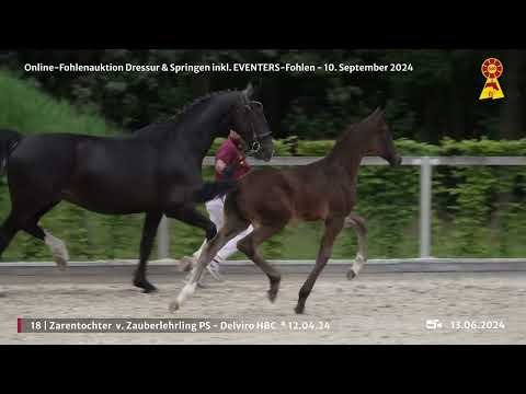 Lot 18 v. Zauberlehrling PS / Delviro HBC