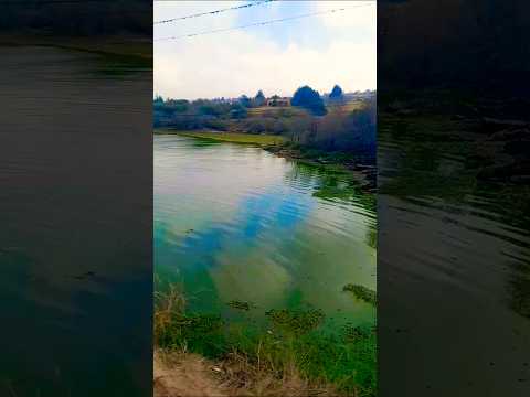 Puente de las Mojarras, Bialet Massé, Córdoba 🇦🇷#puentedelasmojarras